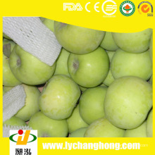 Fresh Green Apple precios